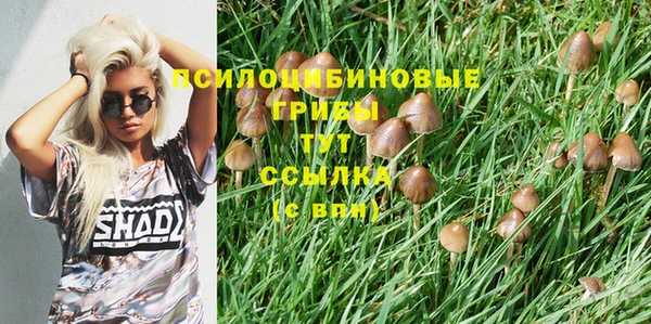 СК Лихославль