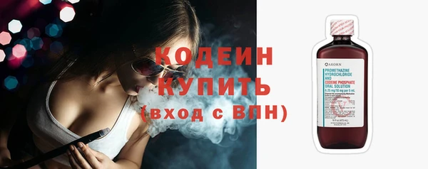 винт Липки
