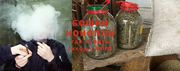 винт Липки