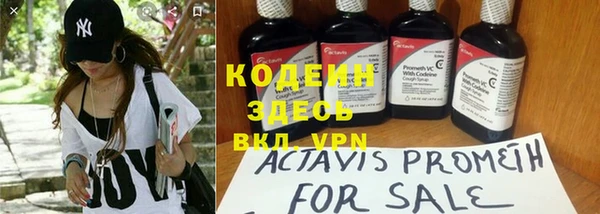 винт Липки