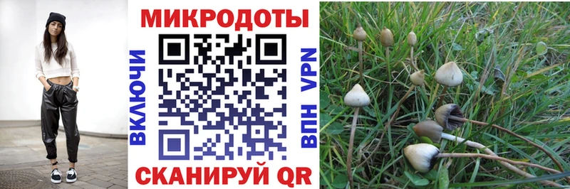 Галлюциногенные грибы ЛСД  Мураши 