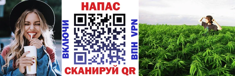 МАРИХУАНА THC 21% Мураши